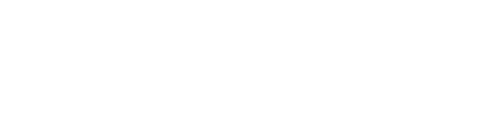 Porto Logo at footer